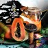 Заказать кальянный табак BlackBurn Papaya V Obed (БлэкБерн Папайя) 25г онлайн с доставкой всей России